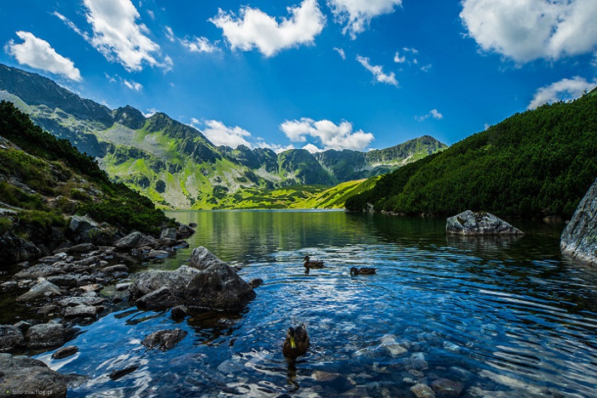 TATRY - RUSINOWA POLANA - 1 DZIEŃ