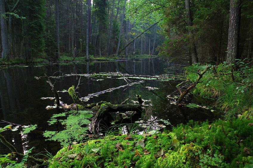 ROZTOCZE, LUBLIN i ZAMOŚĆ – 3 DNI